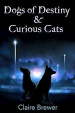 Dogs of Destiny & Curious Cats 