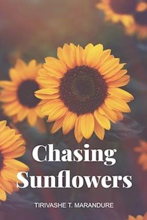 Chasing Sunflowers: A Love Letter Continued
