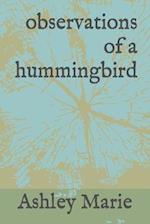 observations of a hummingbird 