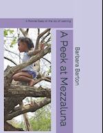 A Peek at Mezzaluna:: A Pictorial Essay on the Joy of Learning 