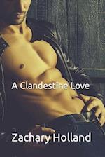 A Clandestine Love 