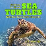 Getting to Know Sea Turtles