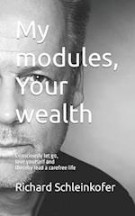 My modules, Your wealth: Translation from german original 