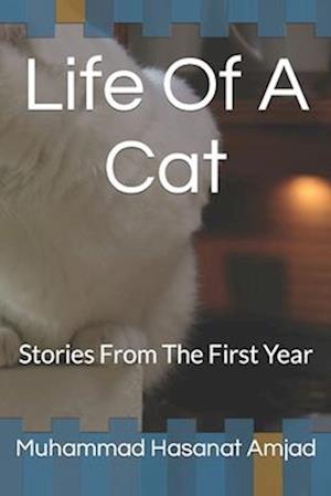 Life Of A Cat: Stories From The First Year