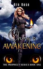 Shay's Awakening 