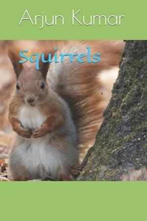 Squirrels