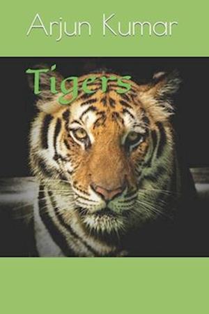 Tigers