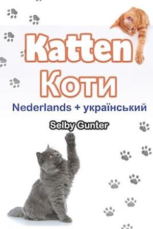 Katten &#1050;&#1086;&#1090;&#1080;