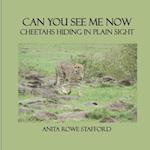 Can You See Me Now: Cheetahs Hiding in Plain Sight 