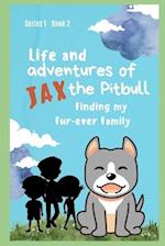 Life and Adventures of Jax the Pitbull: Finding my Fur-ever Family 