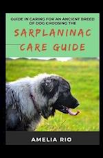 Guide In Caring For An Ancient Breed Of Dog Choosing The Sarplaninac Care Guide 