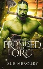 Promised to the Orc: A Fantasy Monster Romance 