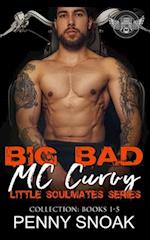 Big Bad MC Curvy Little Soulmates Series Collection: Books 1-5: An Age Play Motorcycle Club Romance 