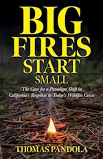 Big Fires Start Small: The Case for a Paradigm Shift in California's Response to Today's Wildfire Crisis 