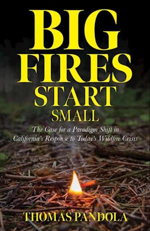 Big Fires Start Small : The Case for a Paradigm Shift in California's Response to Today's Wildfire Crisis