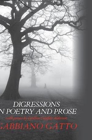 Digressions in Poetry and Prose: a collection of stories and verse written from multiple perspectives