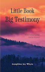 Little Book, Big Testimony