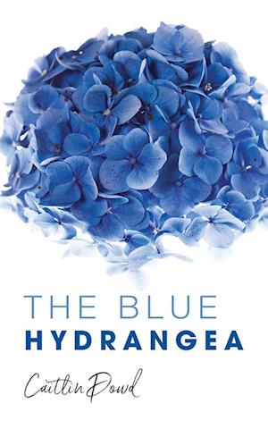 The Blue Hydrangea