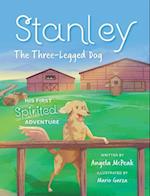 Stanley, The Three-Legged Dog