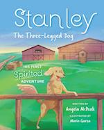 Stanley, The Three-Legged Dog