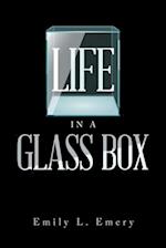 Life in a Glass Box 