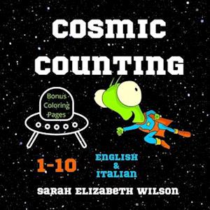 Cosmic Counting