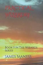 PRACTICAL WIZARDRY: Book 5 in The Wizards Series 