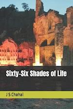 Sixty-Six Shades of Life 