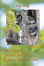 The Sequel Secret Life Of The Eastern Screech Owls: Breeding Season 2022 