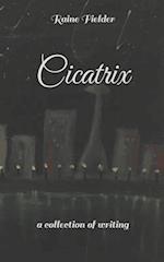 Cicatrix: a collection of writing 