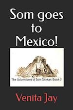 Som goes to Mexico!: The Adventures of Som Shekar: Book 3 