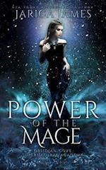 Power of the Mage: A Reverse Harem Paranormal Academy Romance 