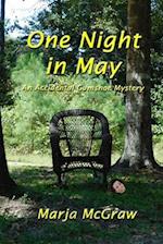 One Night in May: An Accidental Gumshoe Mystery 