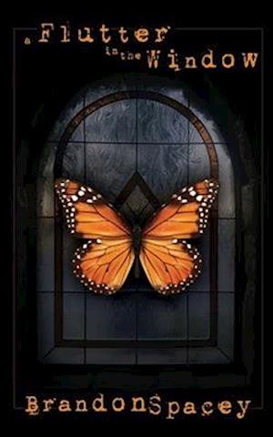 A Flutter in the Window