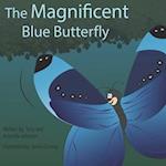 Magnificent Blue Butterfly 