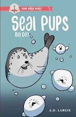 Seal Pups Big Day 