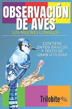 Los Mejores Consejos Para La Observación de Aves