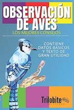 Los Mejores Consejos Para La Observación de Aves