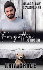 Forgotten Omega: M/M MPreg Romance 