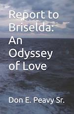 Report to Bridselda: An Odyssey of Love 