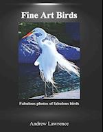 Fine Art Birds: Fabulous photos of fabulous birds 