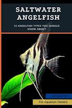 Saltwater Angelfish: 15 Angelfish Types You Should Know About 