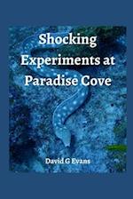 Shocking Experience at Paradise Cove 