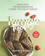 Diving into the Mesoamerican Cuisine - The Collection of Tamale Recipes: The Pride of Mesoamerica 