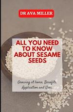 All You Need to Know About Sesame Seed: Growing at home, Benefits, Application and Uses 