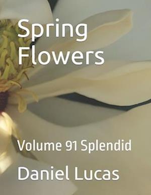 Spring Flowers: Volume 91 Splendid