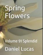 Spring Flowers: Volume 91 Splendid 