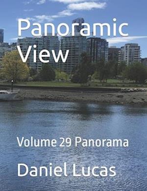 Panoramic View: Volume 29 Panorama