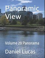 Panoramic View: Volume 29 Panorama 