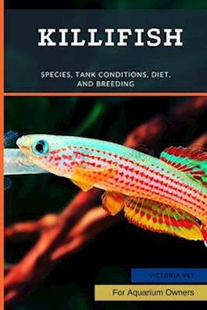 Killifish: Species, Tank Conditions, Diet, and Breeding